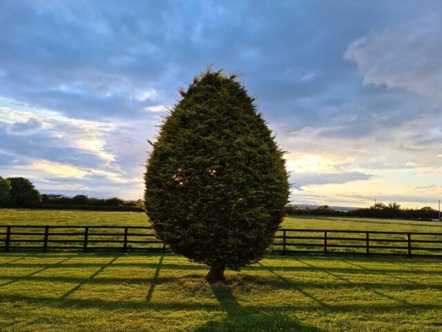 Glendaloch B&B Antrim Camera foto